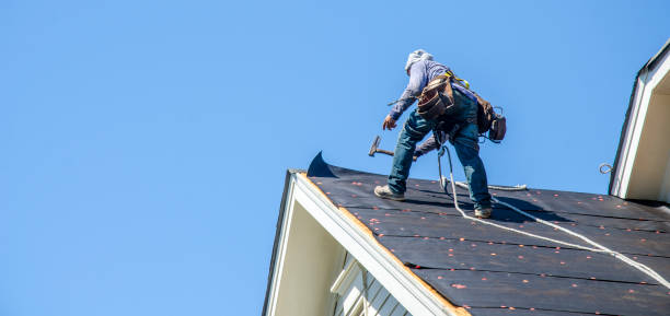 Best Roof Maintenance Services  in Harveys Lake, PA